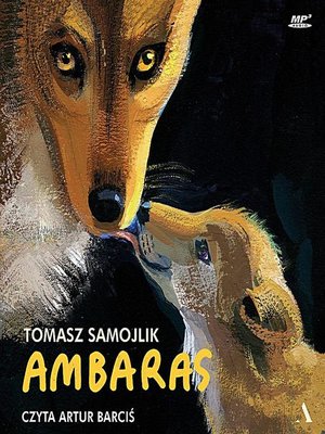 cover image of Ambaras